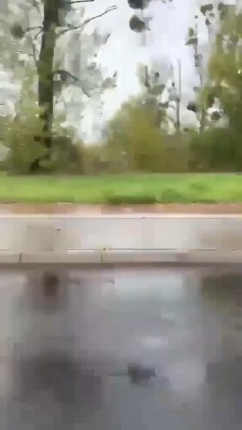 Video thumnail