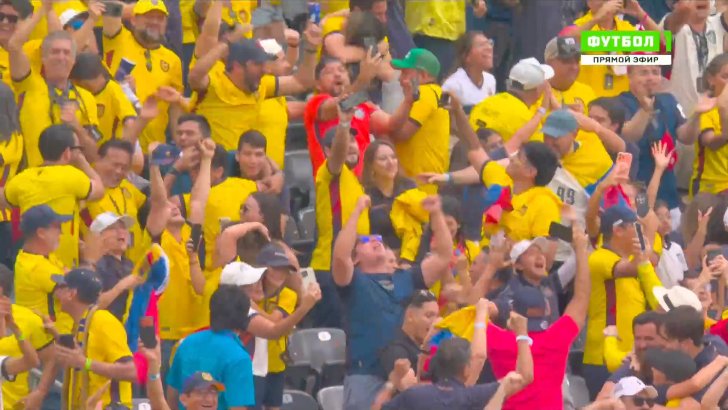 Ecuador celebrate after beating Germany